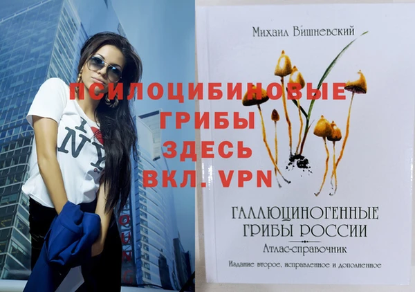 героин Богданович