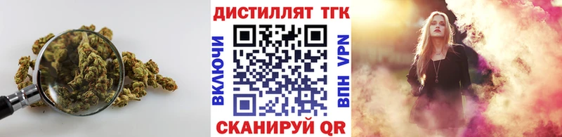 omg ссылка  Няндома  ТГК вейп  где найти  