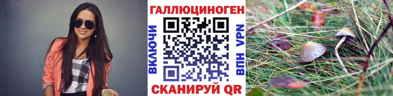 цена   Няндома  блэк спрут ONION  Галлюциногенные грибы ЛСД 