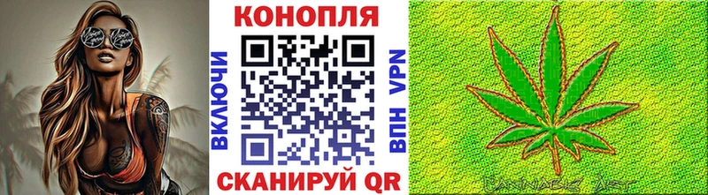 Шишки марихуана планчик  Няндома 